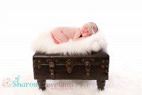 Professional Newborn Photography Saginaw Tx