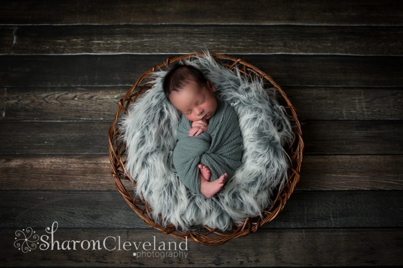 Newborn Photographer Fort Worth
