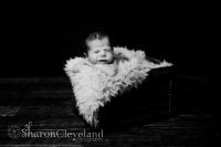 Newborn Photography Fort Worth