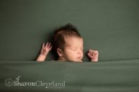 Newborn boy portraits